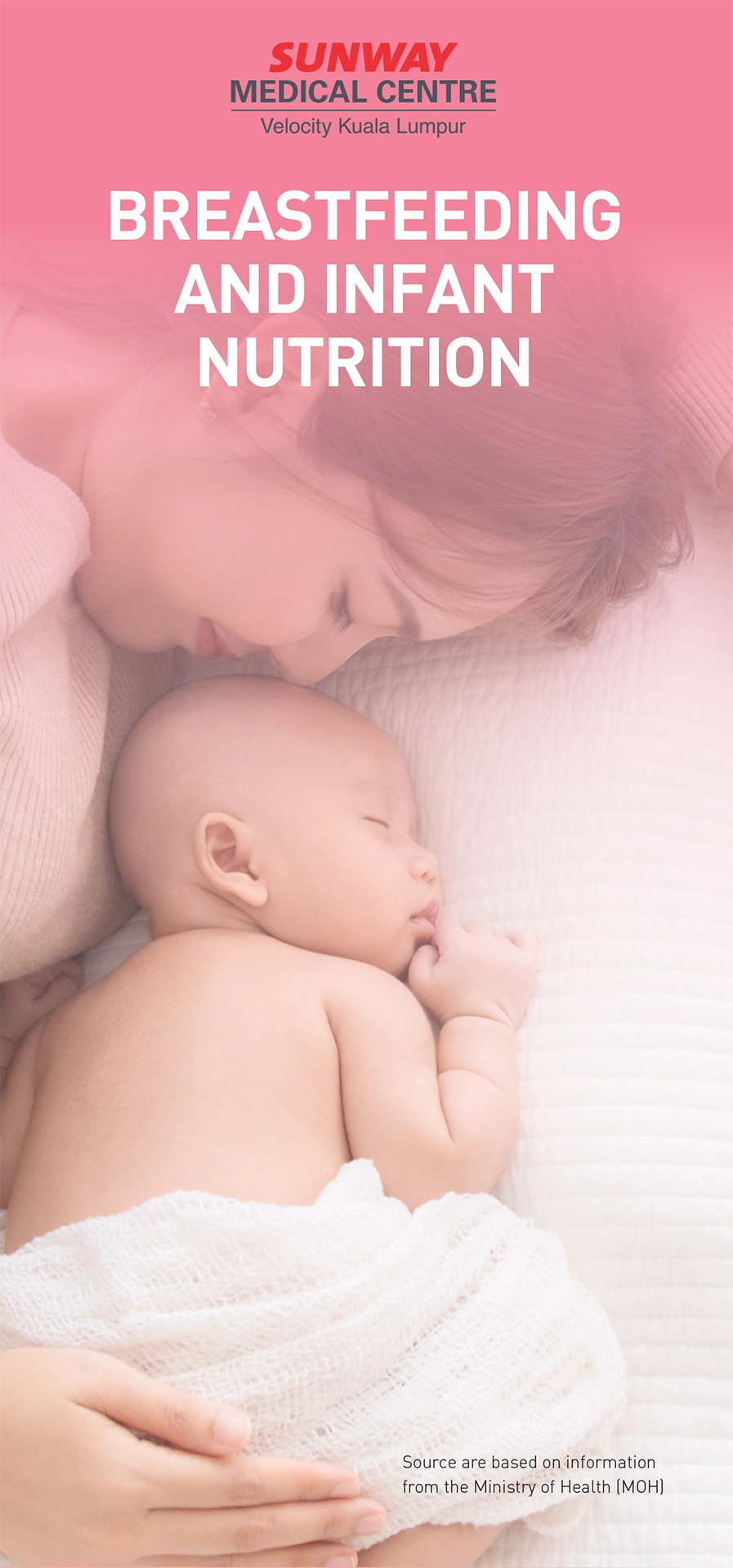 Download The Successful Breastfeeding Guide