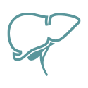 Hemi Hepatectomy & Liver Resection