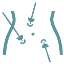 Laparoscopic Digestive Surgery