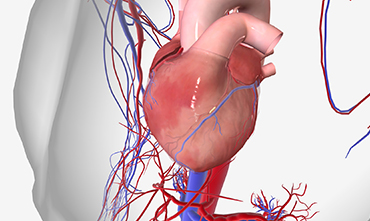 Pericardium Disease