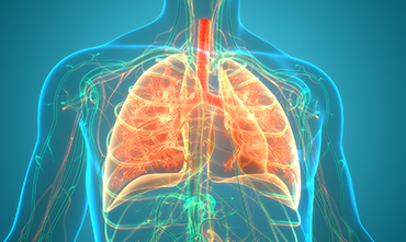 Pulmonary Fibrosis