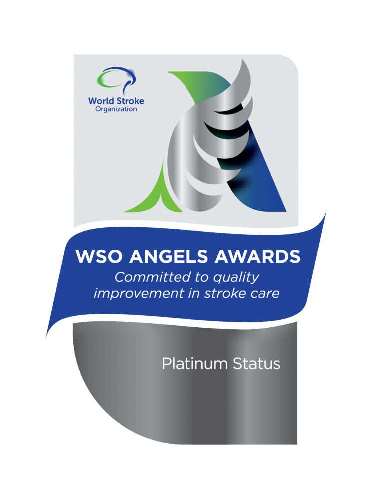World Stroke Organization (WSO) Angels Awards 2025 - Platinum Award