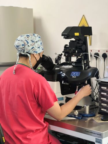Beyond the Microscope: A Day in the Life of an Embryologist